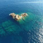 Fabulous dive!